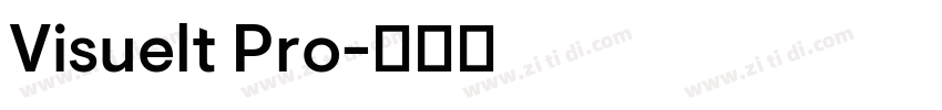 Visuelt Pro字体转换 Visuelt Pro字体转换